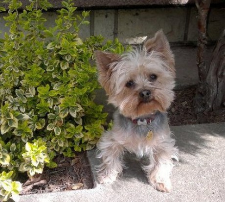 FB_20150319_13_33_26_Saved_Picture